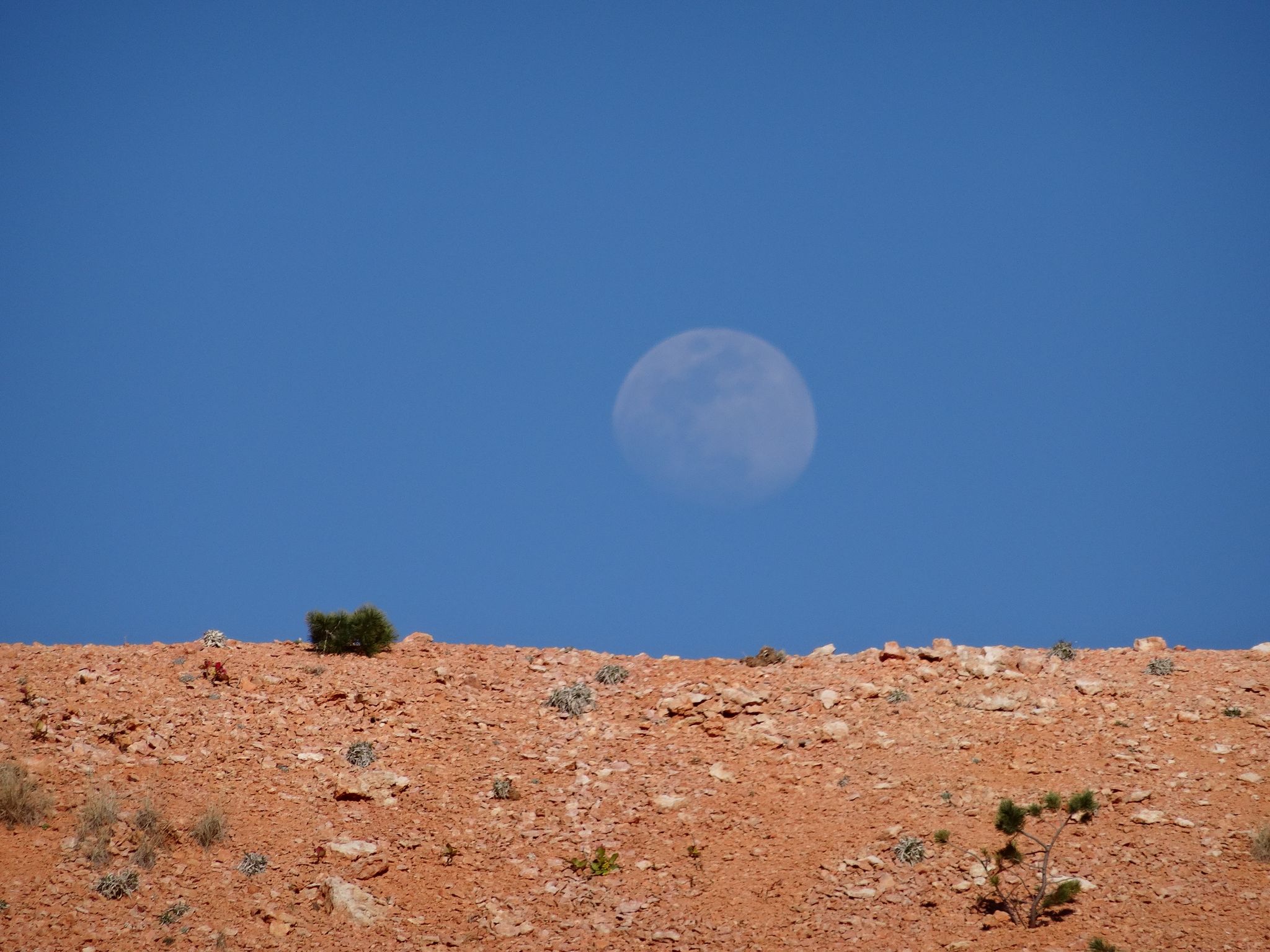 How Edge Analytics and Distributed Networking Are Making the Killer App a Reality